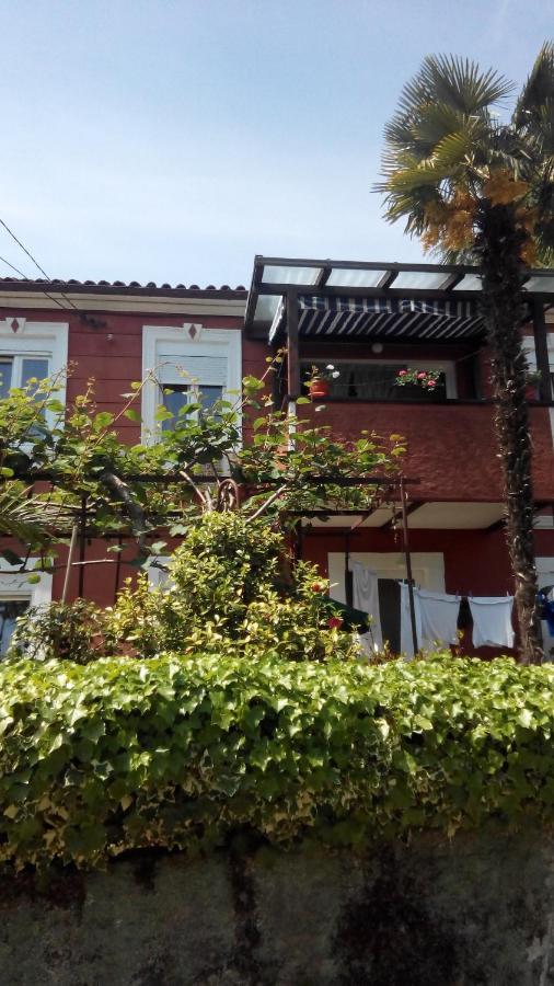 Apartment Minka *